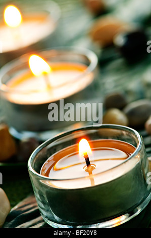 Candele accese in cestelli portabicchieri sulla foglia verde Foto Stock