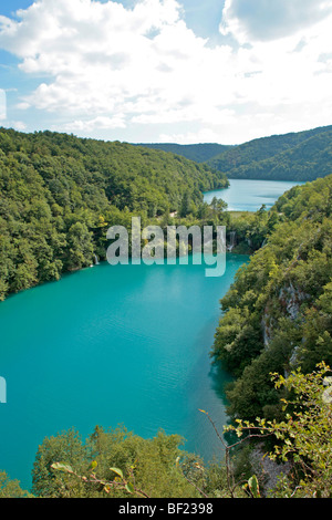 Plitwitz Lakes National Park, Dalmazia Settentrionale, Croazia Foto Stock