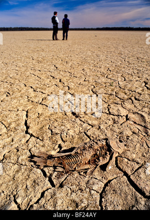 Lakebed secco durante la siccità in Australia Foto Stock