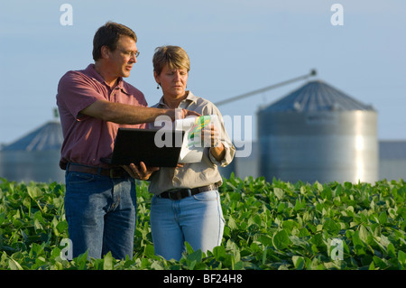 Il marito e la moglie gli agricoltori in piedi nel loro campo di soia in ingresso i dati di raccolto nel proprio computer portatile da un campo di GPS map / STATI UNITI D'AMERICA. Foto Stock