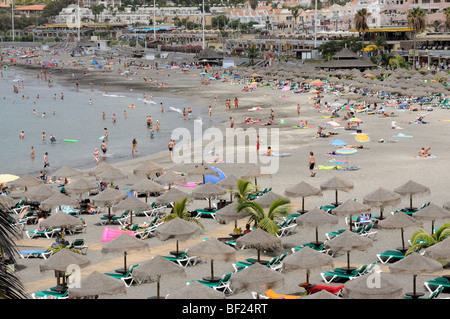 Playa del Duque spiaggia, Isole Canarie Tenerife, Spagna Foto Stock