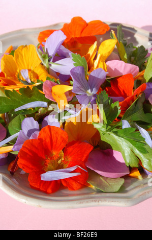 Insalata di fiori in un vaso Foto Stock