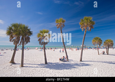 Palme presso Clearwater Beach sotto il cielo blu, Baia di Tampa, Florida, Stati Uniti d'America Foto Stock