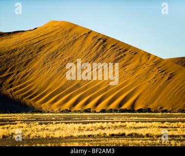 Sunset NAMIBIA desert dune del Sossusvlei rosso giallo sabbia arancione polvere ampio paesaggio terrestre sesriem Naukluft NP nationalpark nationa Foto Stock