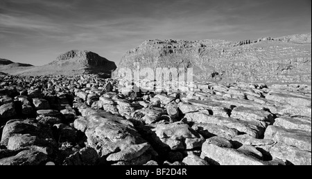 Pavimentazione in calcare a Malham, sopra Malham Cove, Yorkshire Dales National Park Foto Stock