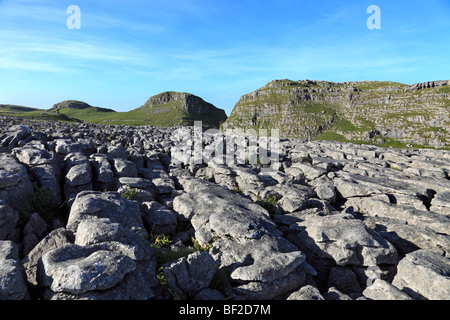 Pavimentazione in calcare a Malham, sopra Malham Cove, Yorkshire Dales National Park Foto Stock