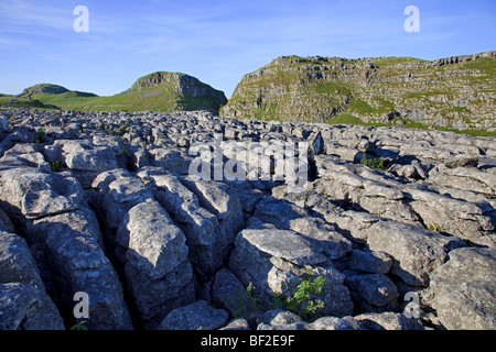 Pavimentazione in calcare a Malham, sopra Malham Cove, Yorkshire Dales National Park Foto Stock