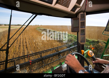 Interno di una mietitrebbia durante il raccolto di soia che mostra il monitor di controllo della resa e di combinare vari indicatori di funzionamento / Minnesota, Stati Uniti d'America Foto Stock