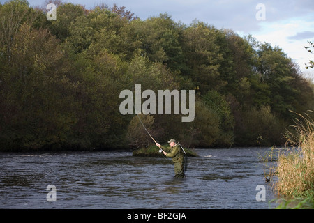 La pesca del salmone sul Tyne nord fiume di bellingham northumberland England Regno Unito Foto Stock