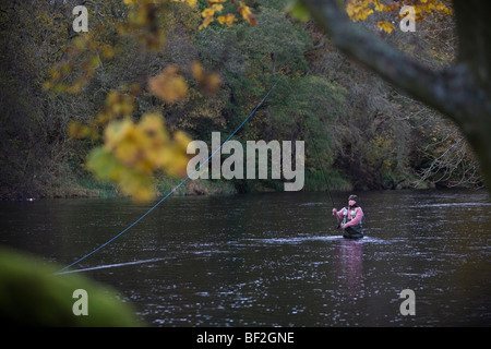 La pesca a mosca sul Tyne nord fiume di Bellingham Northumberland England Regno Unito Foto Stock