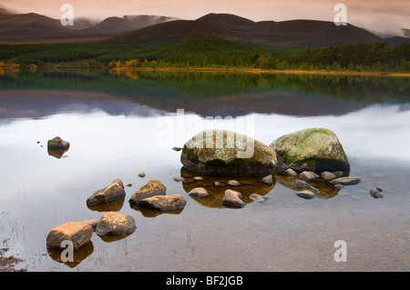 Loch Morlich Glenmore Aviemore Highland Regione Scozia SCO 5466 Foto Stock