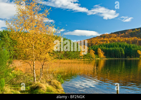 Loch Pityoulish vicino a Aviemore in ottobre i colori autunnali. SCO 5474 Foto Stock