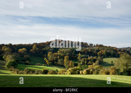 Colori autunnali vicino all'Abbazia di Prinknash, nel Cotswolds, Gloucestershire, Inghilterra Foto Stock