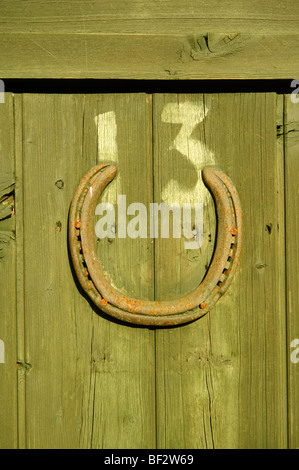Sfortunato numero 13 con la fortuna a ferro di cavallo su un dipinto di verde porta di legno su un riparto Tettoia da giardino, Aberystwyth Wales UK Foto Stock