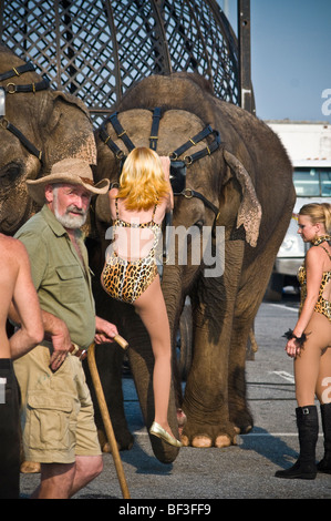 Clyde Beatty Cole Fratelli Bros. Circus più grande spettacolo itinerante in tela America Stati Uniti Foto Stock