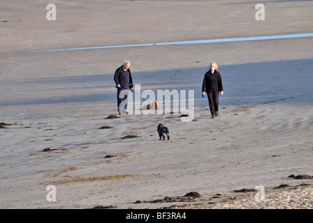 Cane di camminare sulla spiaggia a bassa Newton-per-il-Mare, Northumberland Foto Stock