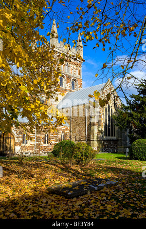 Wimborne Minster visto in autunno dove le foglie d'oro hanno cominciato a cadere Foto Stock