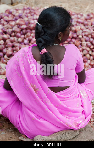 Donna indiana in un sari rosa vendita di cipolle rosse al mercato. Puttaparthi, Andhra Pradesh, India Foto Stock