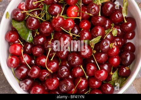 Ciotola di aspro, o Morello, Ciliege Prunus cerasus. La Romania. Foto Stock