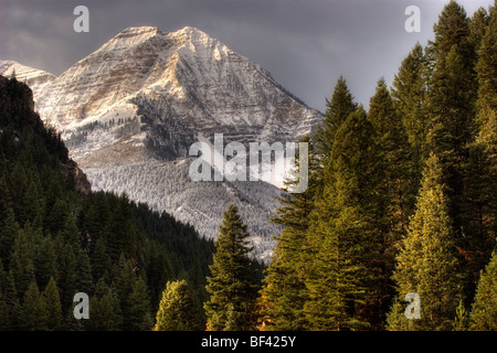 Inizio autunno nevicata sul Monte Timpanogos in American forcella Canyon situato nelle Montagne Wasatch del Nord USA Utah Foto Stock