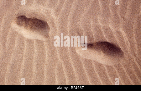 Orme nella sabbia Foto Stock
