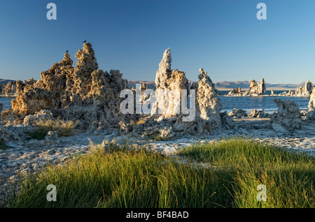 A sud il tufo, Mono Lago, Lee Vining, CALIFORNIA, STATI UNITI D'AMERICA Foto Stock