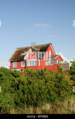 Classic, casa di paglia a Vejer beach, nello Jutland, Danimarca, Europa Foto Stock