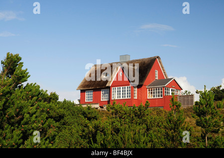 Classic, casa di paglia a Vejer beach, nello Jutland, Danimarca, Europa Foto Stock