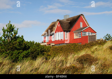 Classic, casa di paglia a Vejer beach, nello Jutland, Danimarca, Europa Foto Stock