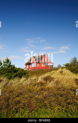 Classic, casa di paglia a Vejer beach, nello Jutland, Danimarca, Europa Foto Stock