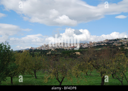 Città di Agrigento, vista dalla valle dei templi in un oliveto Foto Stock