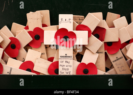 Papaveri su croci di legno presso il memorial al Menen ponte di Ypres o Ieper in Belgio Foto Stock