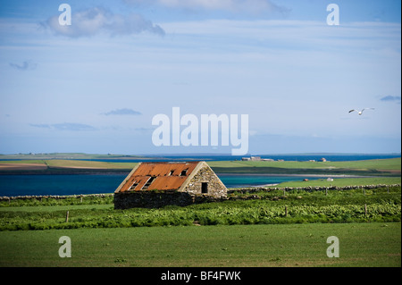 Cottage in pietra, granaio, isole Orcadi Scozia, Regno Unito, Europa Foto Stock