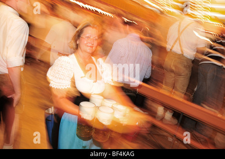 Cameriera con boccali da birra nell'Augustiner tenda, Oktoberfest Monaco di Baviera, Germania Foto Stock