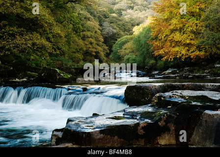 Cascate sul fiume Dart in autunno, Dartmoor Devon UK Foto Stock