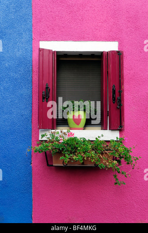 Casa colorata facciata con un splendidamente decorati finestra, Burano, Venezia, Veneto, Italia, Europa Foto Stock