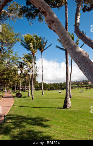 Royal Kaanapali Golf con palme e percorso spiaggia. Foto Stock