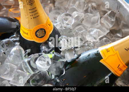 Una bottiglia di champagne in uno scambiatore di calore con ghiaccio Foto Stock