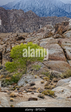 Alabama Hills, Lone Pine, CALIFORNIA, STATI UNITI D'AMERICA Foto Stock