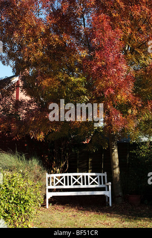 Un banco di legno in un angolo di un giardino suburbano in autunno a Redditch, Worcestershire, Regno Unito Foto Stock