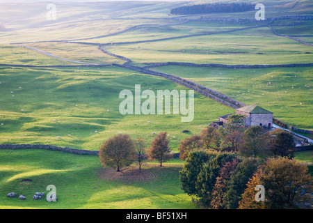 Colori autunnali in Littondale tra Arncliffe e Malham nel Yorkshire Dales National Park Foto Stock