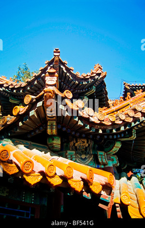 Il padiglione vetrato di piastrelle di passeggiare attraverso uno scorrimento immagine, Palazzo Estivo, Pechino, Cina Foto Stock