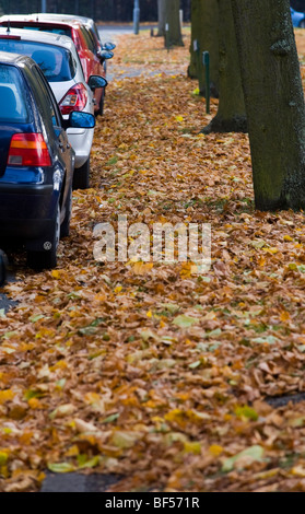 Foglie di autunno cadono su una strada a doppia copertura linee gialla e il blocco di grondaie e scaricatori di piena di una possibile causa di inondazioni Foto Stock