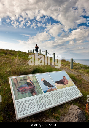 Escursioni a piedi lungo il percorso di uccelli, Oxarfjordur, Islanda Foto Stock