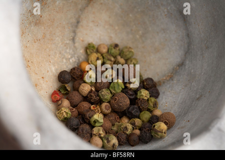 Grani di pepe misto nel fondo di una malta per la macinazione per la cottura Foto Stock