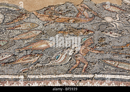 Antica fontana romana, del IV secolo, mosaico pesci, barche e vita marina, dettaglio Hersonissos, Limín Chersonisou, Creta, Grecia, Foto Stock