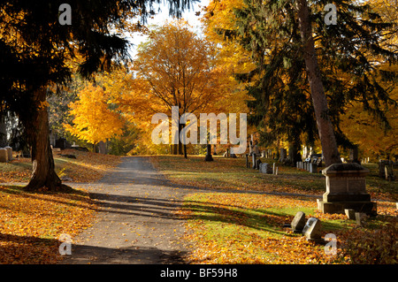 Scene autunnali nel cimitero. Foto Stock