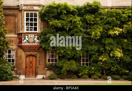 Stemma decorare una finestra di baia, ingresso al Master's Lodge, facciata ricoperta di glicine (Wisteria sinensis) in Chris Foto Stock