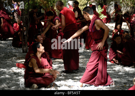 Discutendo di monaci che indossano vesti rosse, Monastero di Sera, scuola Gelug, Ghelupa, cappello giallo setta, Lhasa, Himalaya, autonoma del Tibet ri Foto Stock