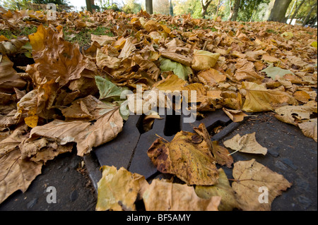 Foglie di autunno cadono su una strada a doppia copertura linee gialla e il blocco di grondaie e scaricatori di piena di una possibile causa di inondazioni Foto Stock